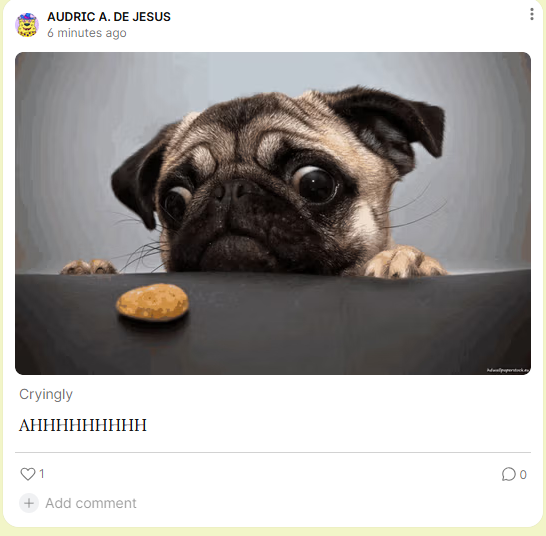 rsrc/Screenshot 2026-02-16 092303.png image